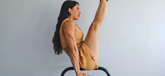 Minimalist Equipment, Maximal Workout Potential:  Why You'll Love the Lebert EQualizer Bars