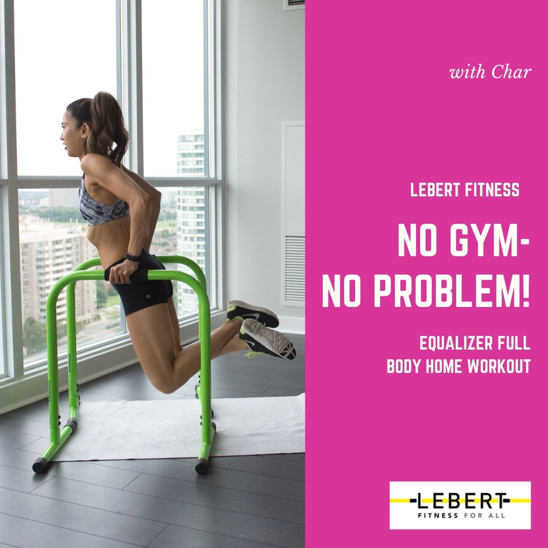 No Gym - No Problem EQualizer Full Body Workout with Char