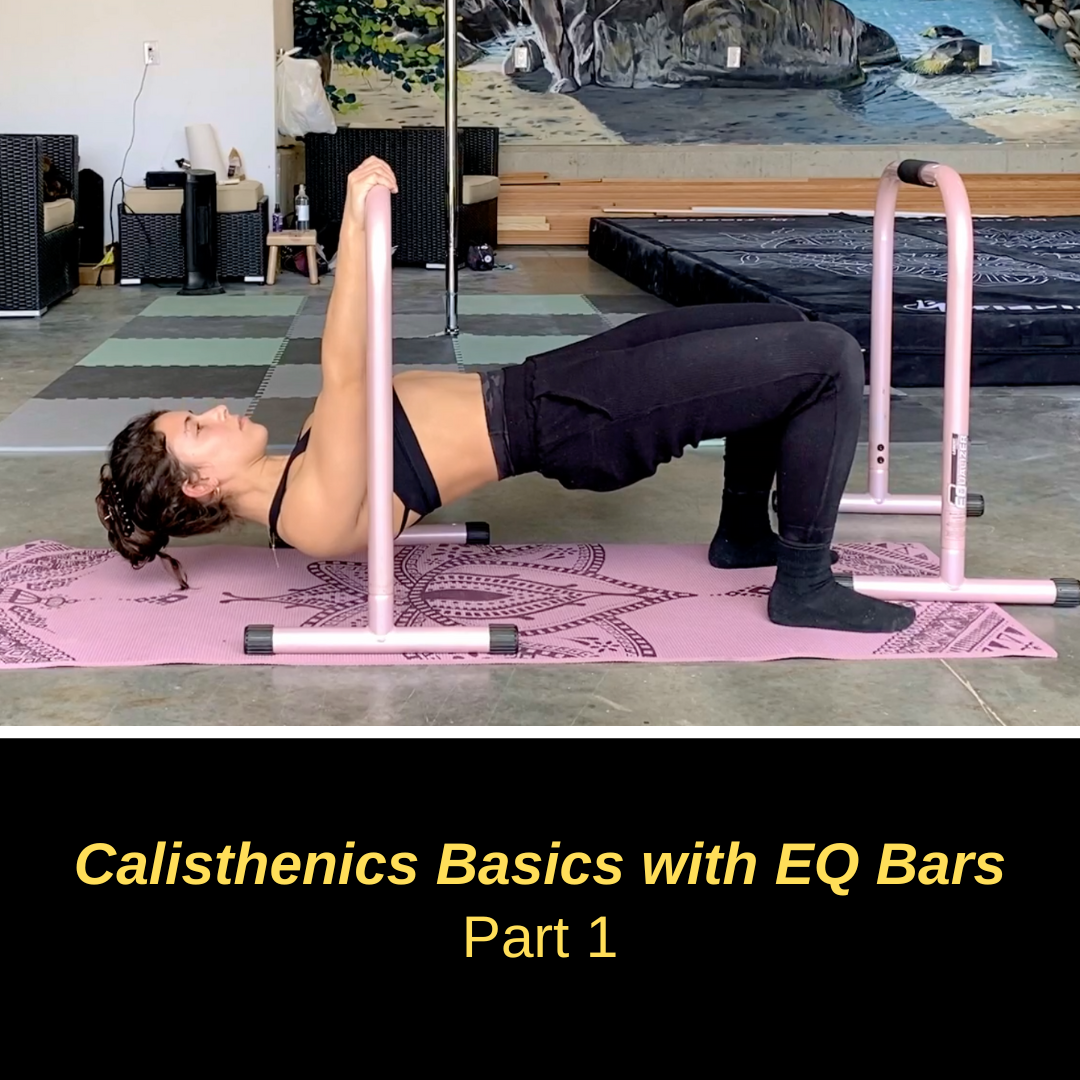 Part 1 - Calisthenics Basics with EQ Bars