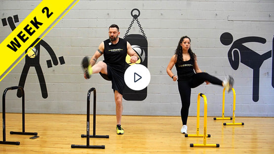 Portable Dip Bars Unlocked