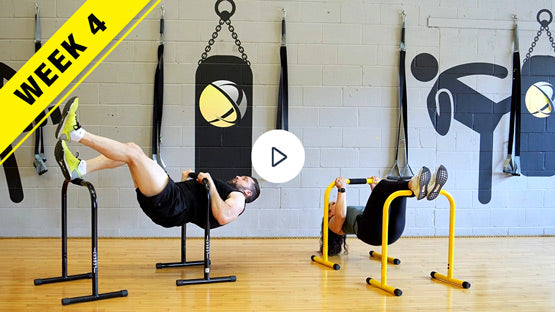 Portable Dip Bars Unlocked