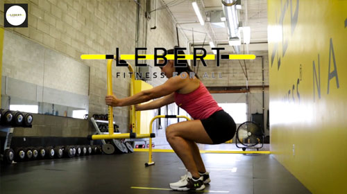 Beginner - EQualizer Mobility Workout with Jesse