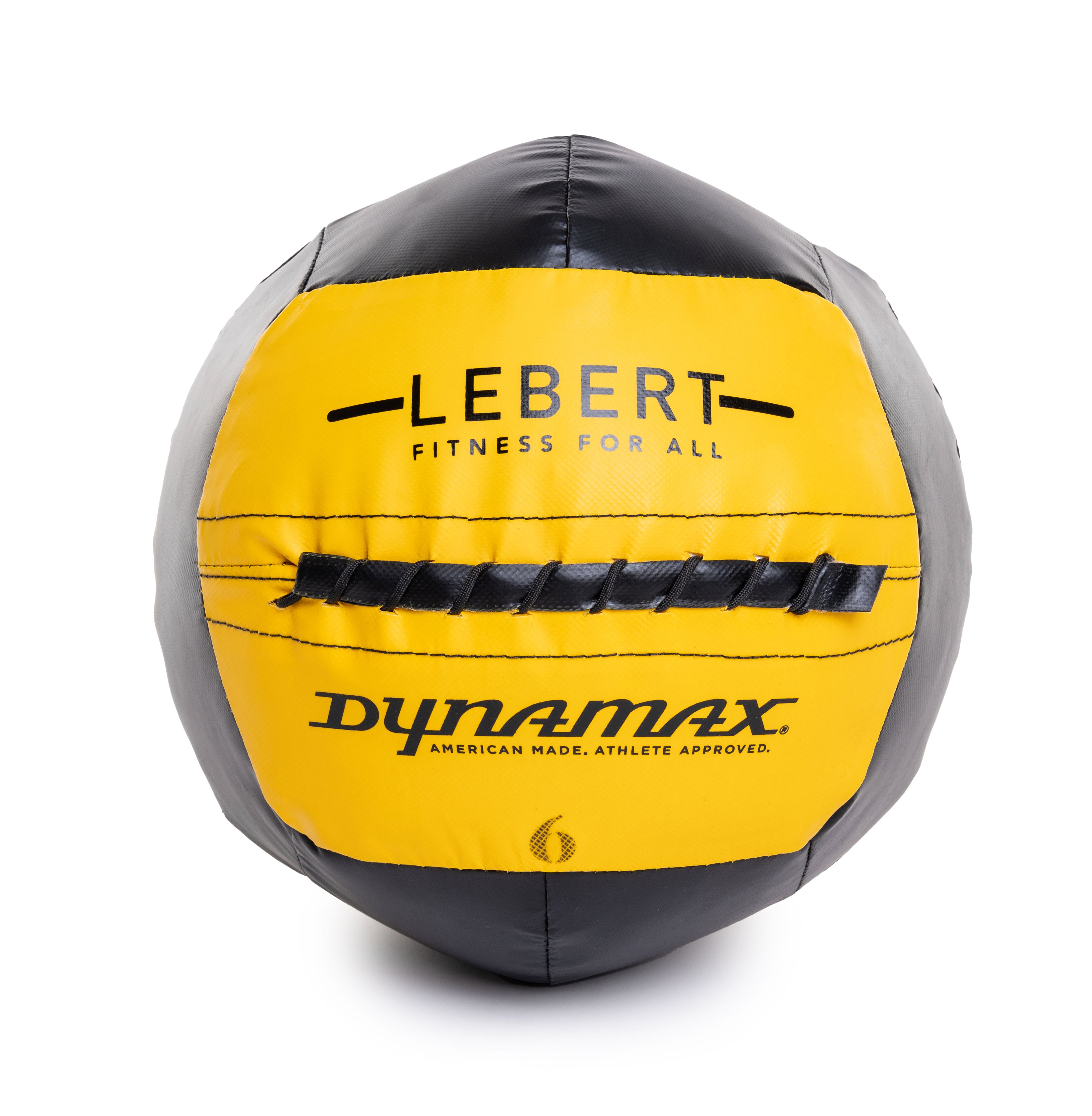 Lebert Fitness/Dynamax 10" Mini Ball