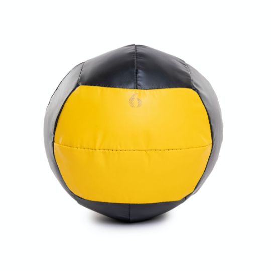 Dynamax mini best sale medicine balls